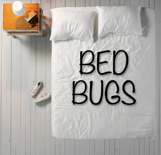 Top 5 Bedding Buying Mistakes to Avoid in 2026 - LatestBedding Guide