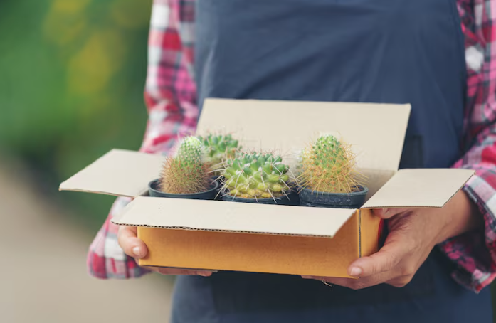 Rethinking Product Presentation with Sleeve Box Packaging