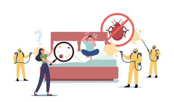 How to Prevent Bed Bug Infestations Before Spring Travel Begins