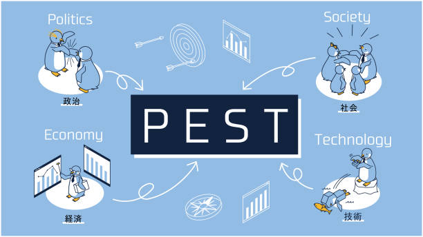 Advanced SEO for Pest Control: Q2 Strategy Guide