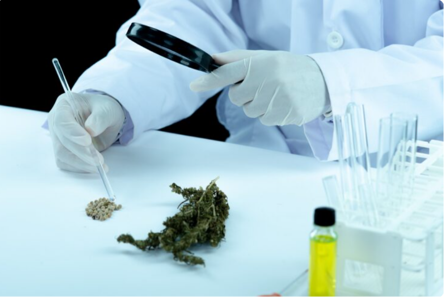 Emerging Kratom Research 